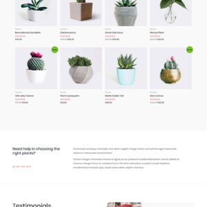 plant-store-02-home