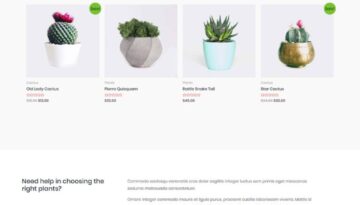 plant-store-02-home